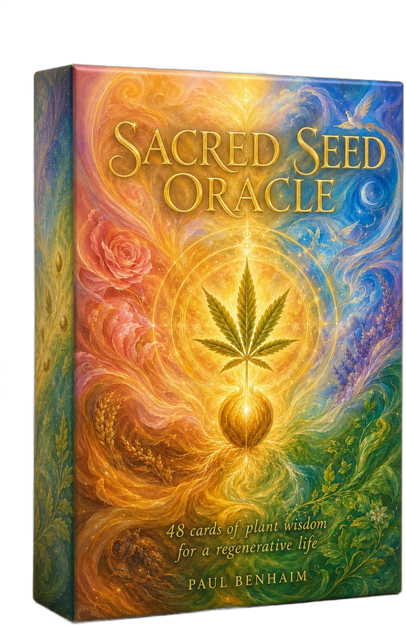 The Sacred Seed Oracle box, first printed mockup